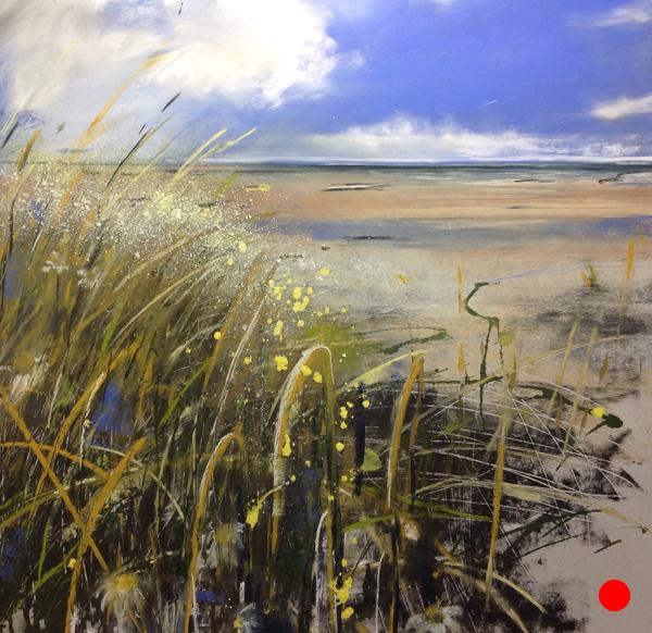 Daisy Beach