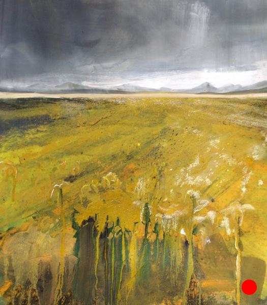 Harris machair