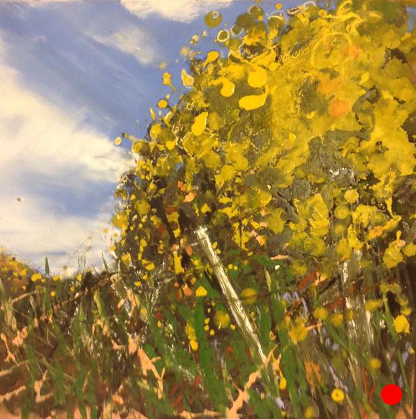 Spring Gorse