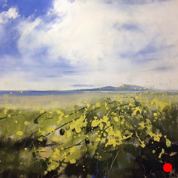 Rape seed shore